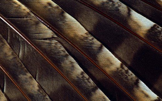 474362 (a): :1920x1200